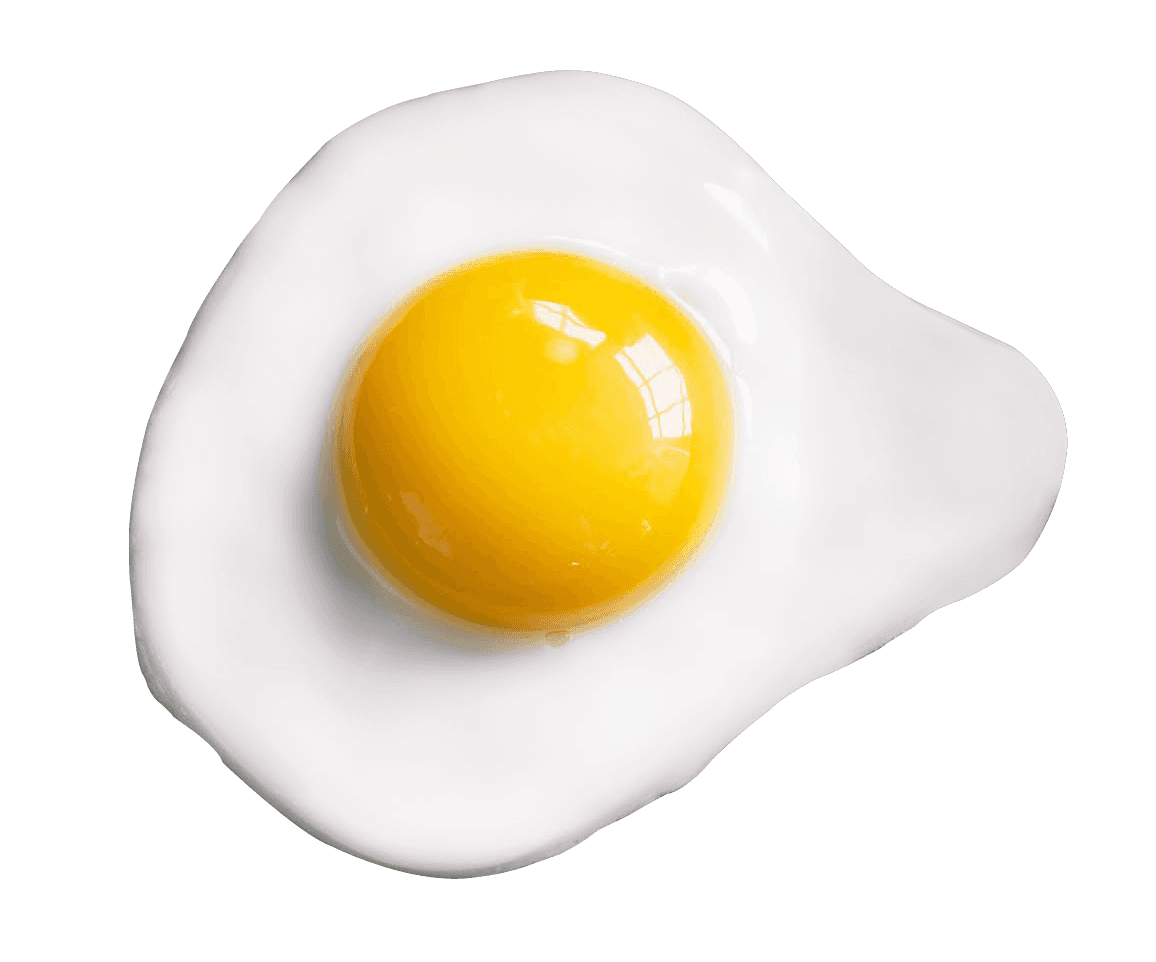 egg